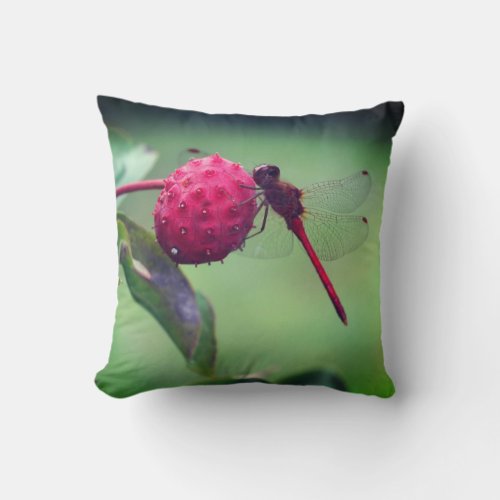 Red Dragonfly On Dogwood Fruit Close Up  Throw Pillow