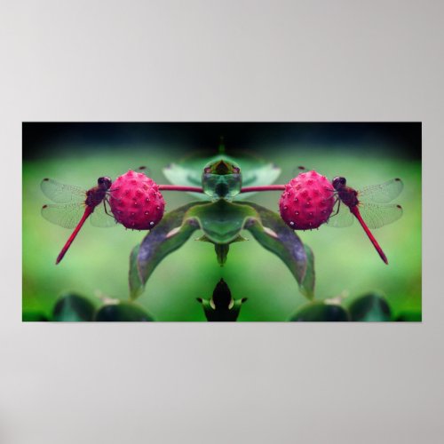 Red Dragonfly On Dogwood Fruit Mirror Abstract Poster