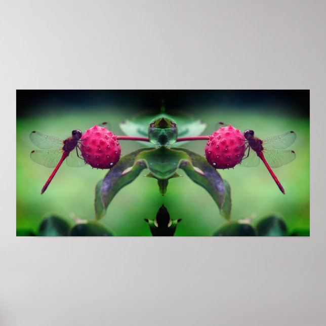Red Dragonfly On Dogwood Fruit Mirror Abstract Poster (Front)