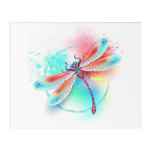 Red dragonfly on watercolor background acrylic print