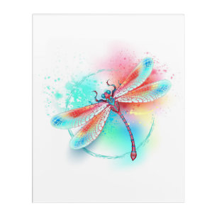 Red dragonfly on watercolor background acrylic print