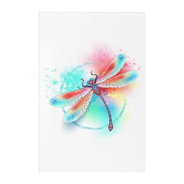 Red dragonfly on watercolor background acrylic print (Front)