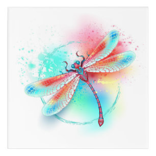 Red dragonfly on watercolor background acrylic print