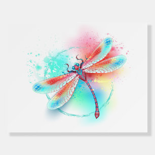 Red dragonfly on watercolor background foam board