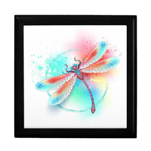 Red dragonfly on watercolor background gift box
