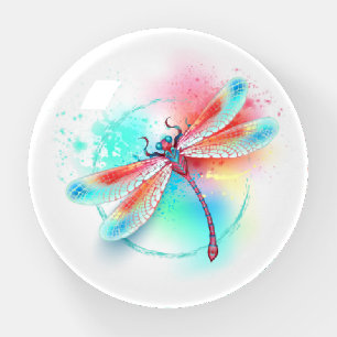 Red dragonfly on watercolor background paperweight