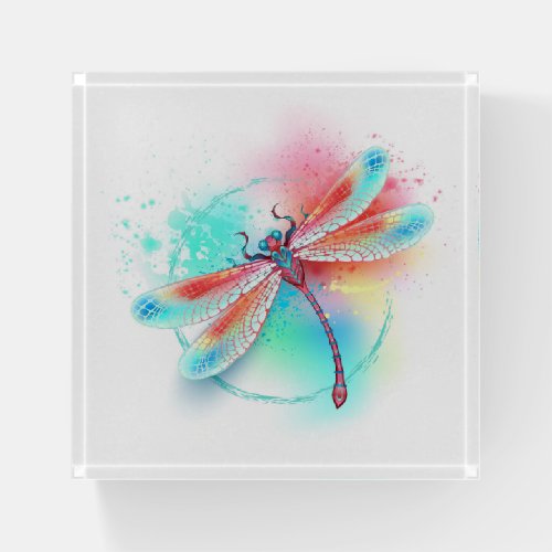 Red dragonfly on watercolor background paperweight