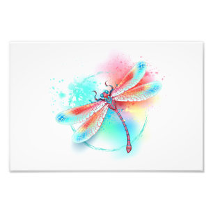 Red dragonfly on watercolor background photo print