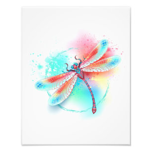 Red dragonfly on watercolor background photo print
