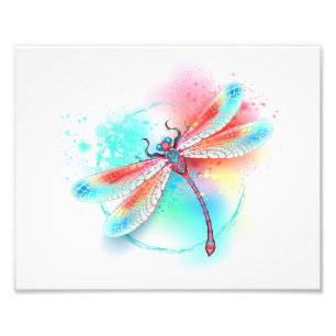 Red dragonfly on watercolor background photo print