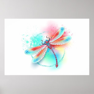 Red dragonfly on watercolor background poster