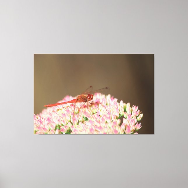 Red Dragonfly Photograph  Canvas Print (Front)