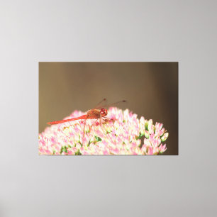 Red Dragonfly Photograph  Canvas Print
