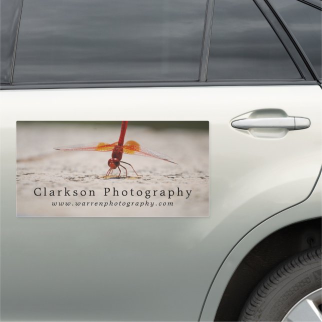 Red Dragonfly, Photographer, Photography Car Magnet (In Situ)