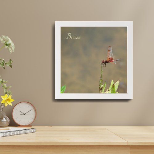 Red dragonfly resting on a straw framed art