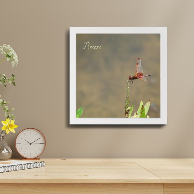 Red dragonfly resting on a straw framed art (Table Top)
