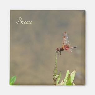 Red dragonfly resting on a straw magnet
