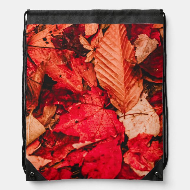 RED Drawstring Backpack (Front)