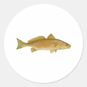 Red Drum Classic Round Sticker