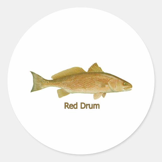 Red Drum (titled) Classic Round Sticker (Front)