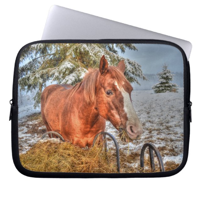 Red Dun Chestnut Horse Eating Hay Equine Photo Laptop Sleeve (Front)