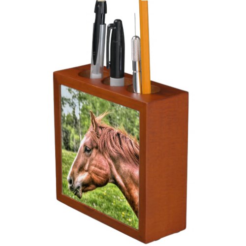 Red Dun Chestnut Mare Horse Equine Photo 2 Pencil Holder