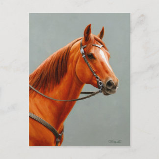Red Dun Chestnut Sorrel Western Quarter Horse Postcard