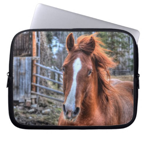Red Dun Horse and Barn 2 _ Equine Photo Portrait Laptop Sleeve