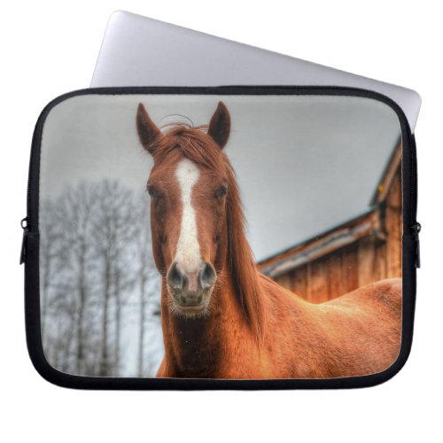 Red Dun Horse and Barn _ Equine Photo Portrait Laptop Sleeve