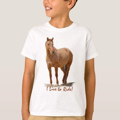 Red Dun Horse Horse_lovers Equine Animal T_Shirt