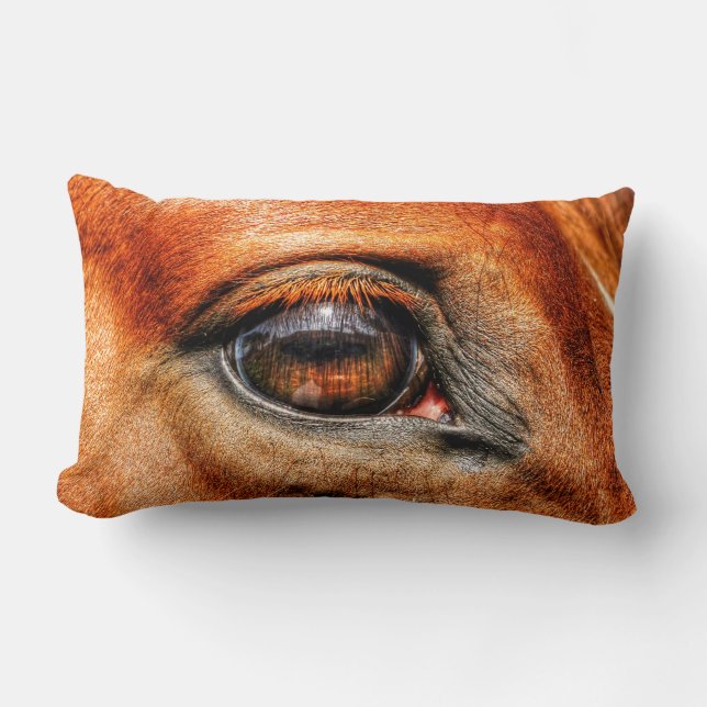 Red Dun Mare Horse's Eye Equine Photo Lumbar Pillow (Front)