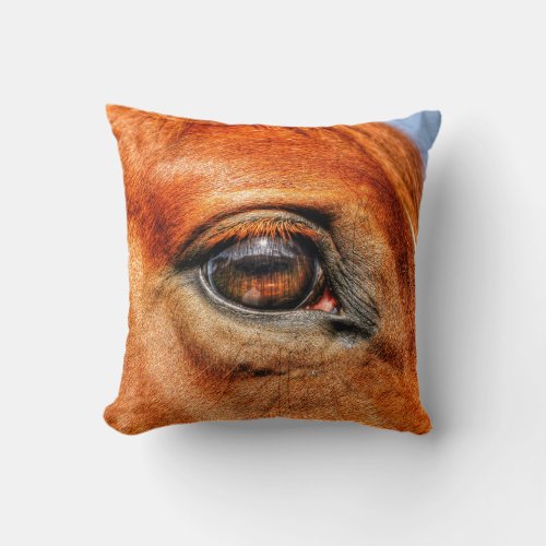 Red Dun Mare Horses Eye Equine Photo Throw Pillow