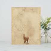 Red Dun on Parchment Horse-lover's Equine Gift (Standing Front)