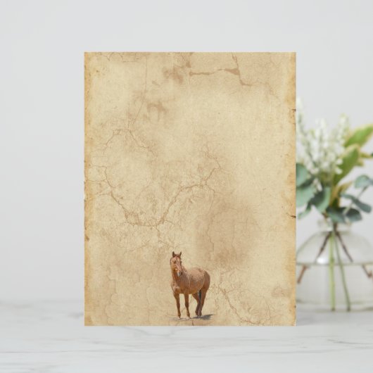 Red Dun on Parchment Horse-lover's Equine Gift (Standing Front)