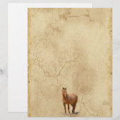 Red Dun on Parchment Horse-lover's Equine Gift (Front/Back)
