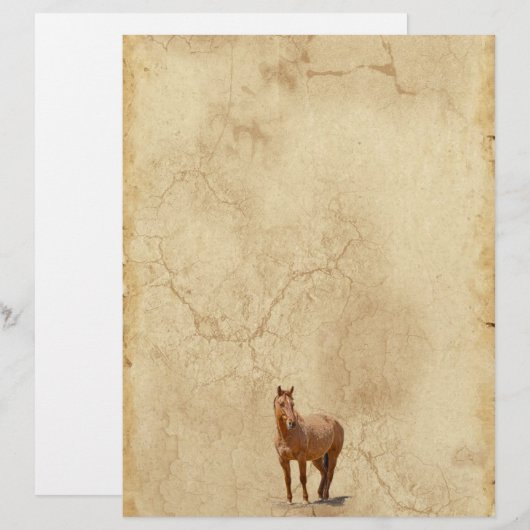 Red Dun on Parchment Horse-lover's Equine Gift (Front/Back)