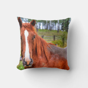 Red Dun Ranch Horse Animal-lover Photo 2 Throw Pillow