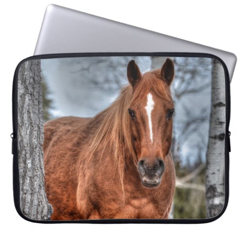 Red Dun Ranch Horse Animal_lover Photo Laptop Sleeve