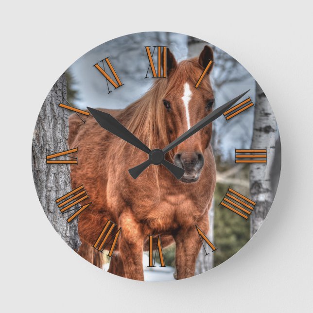 Red Dun Ranch Horse Animal-lover Photo Round Clock (Front)