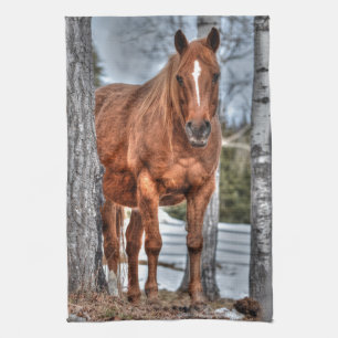 Red Dun Ranch Horse Animal-lover Photo Towel