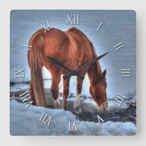 Red Dun Ranch Horse Drinking at a Snowy Pond Square Wall Clock