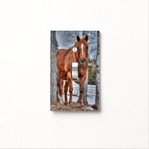 Red Dun Ranch Horse Equine-lover Photo Light Switch Cover