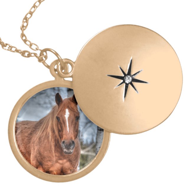 Red Dun Ranch Horse Equine-lover Photo Locket Necklace (Front)
