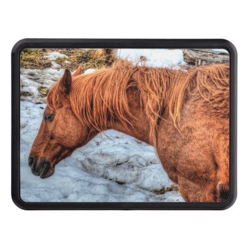 Red Dun Ranch Horse Equine_lover Photo Tow Hitch Cover