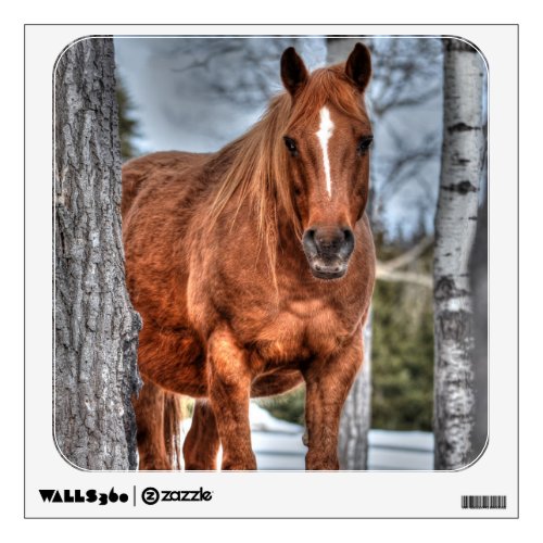 Red Dun Ranch Horse Equine_lover Photo Wall Decal