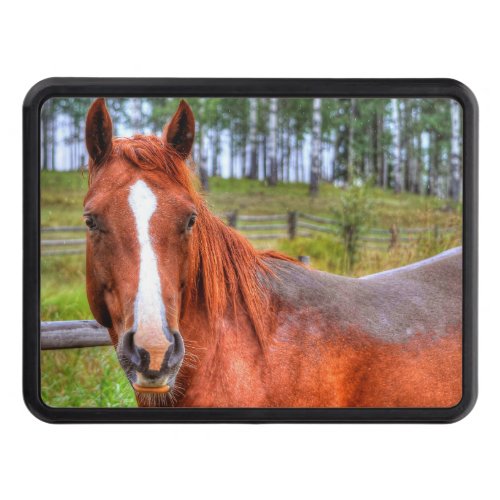 Red Dun Ranch Horse Equine Photo Tow Hitch Cover