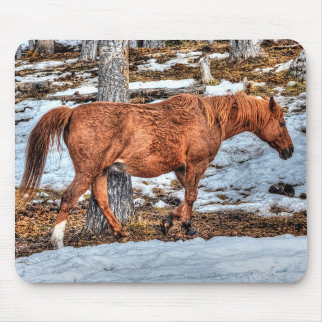 Red Dun Ranch Horse Equine Photography Mouse Pad (Front)