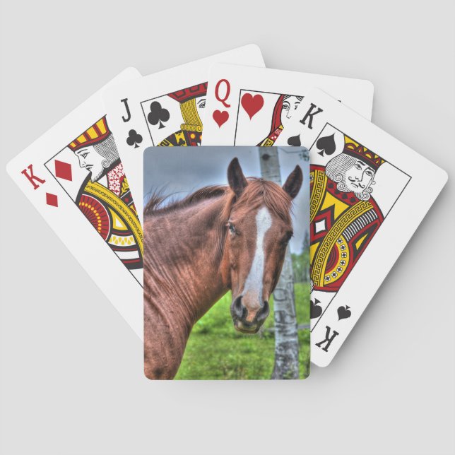 Red Dun Ranch Horse Mare Animal-lover Photo Poker Cards (Back)