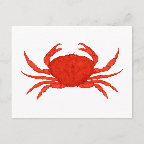Red Dungeness Crab Logo Postcard