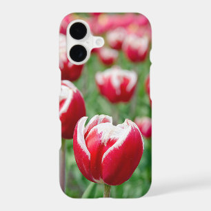 Red Dutch Tulip Garden iPhone 17 Case
